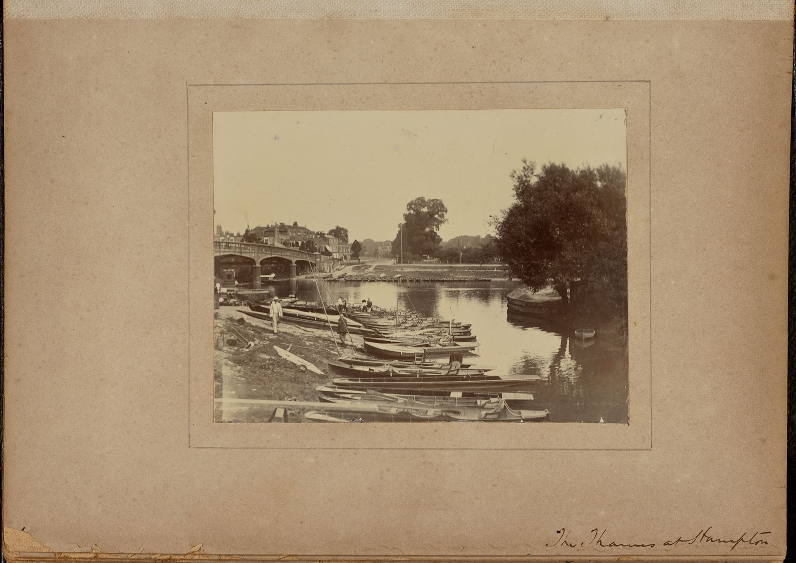 Albumen_01