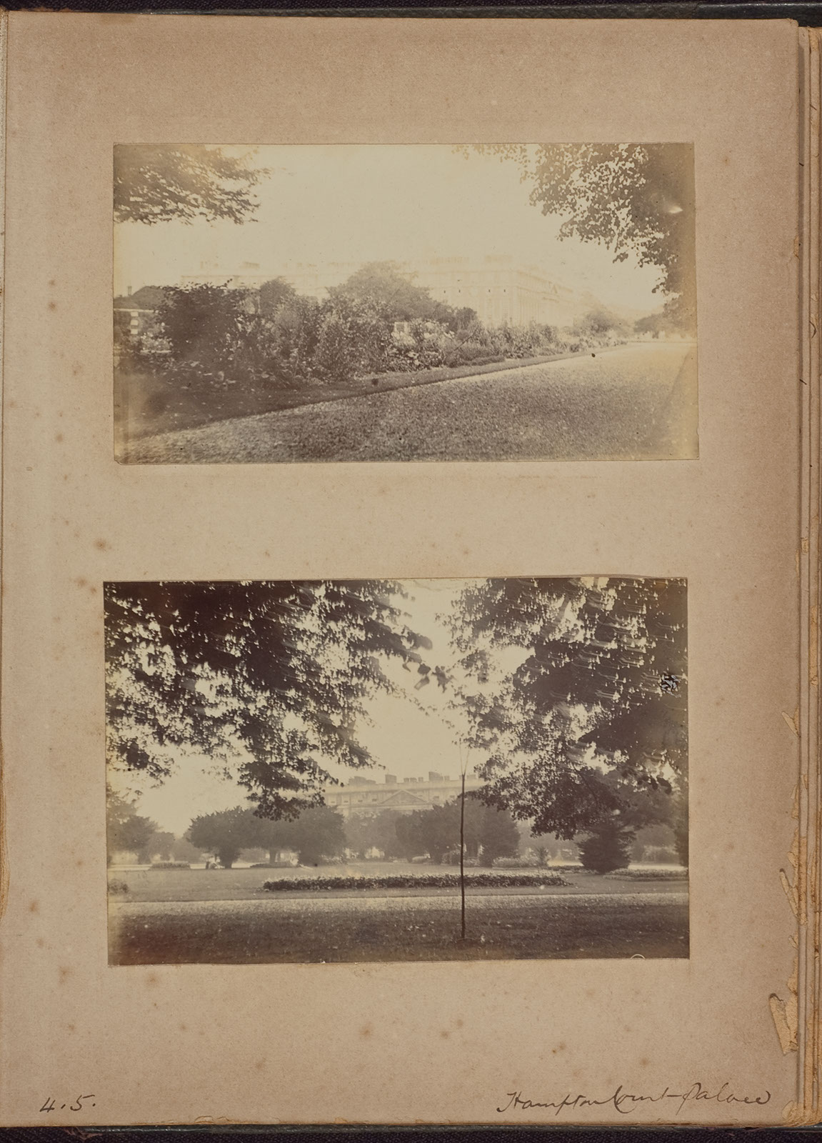 Albumen_04_05