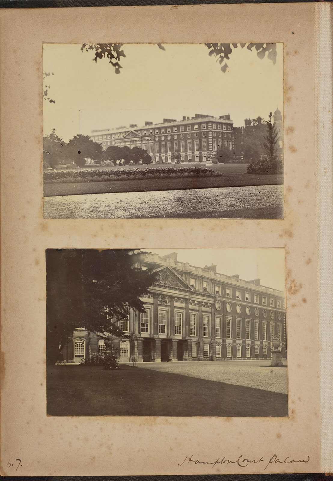 Albumen_06_07