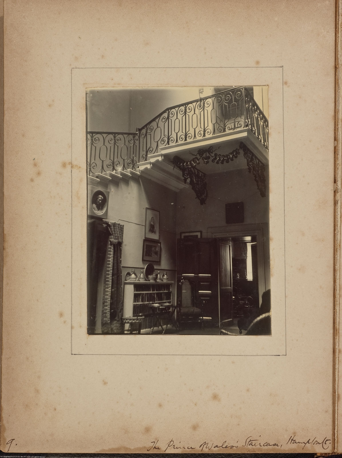 Albumen_09