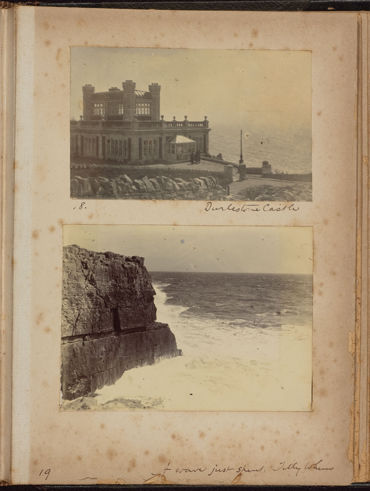 Albumen_18_19