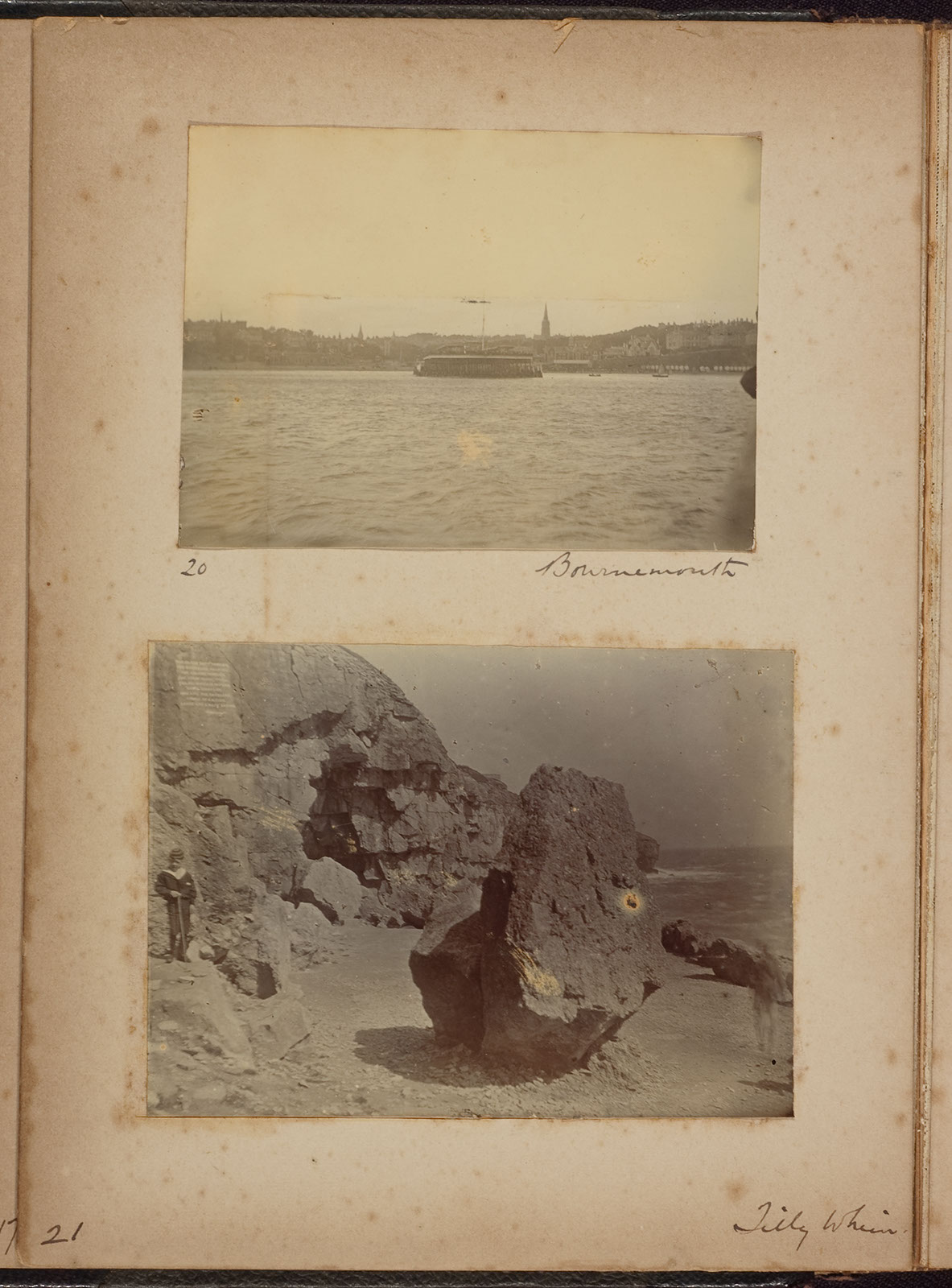 Albumen_20_21