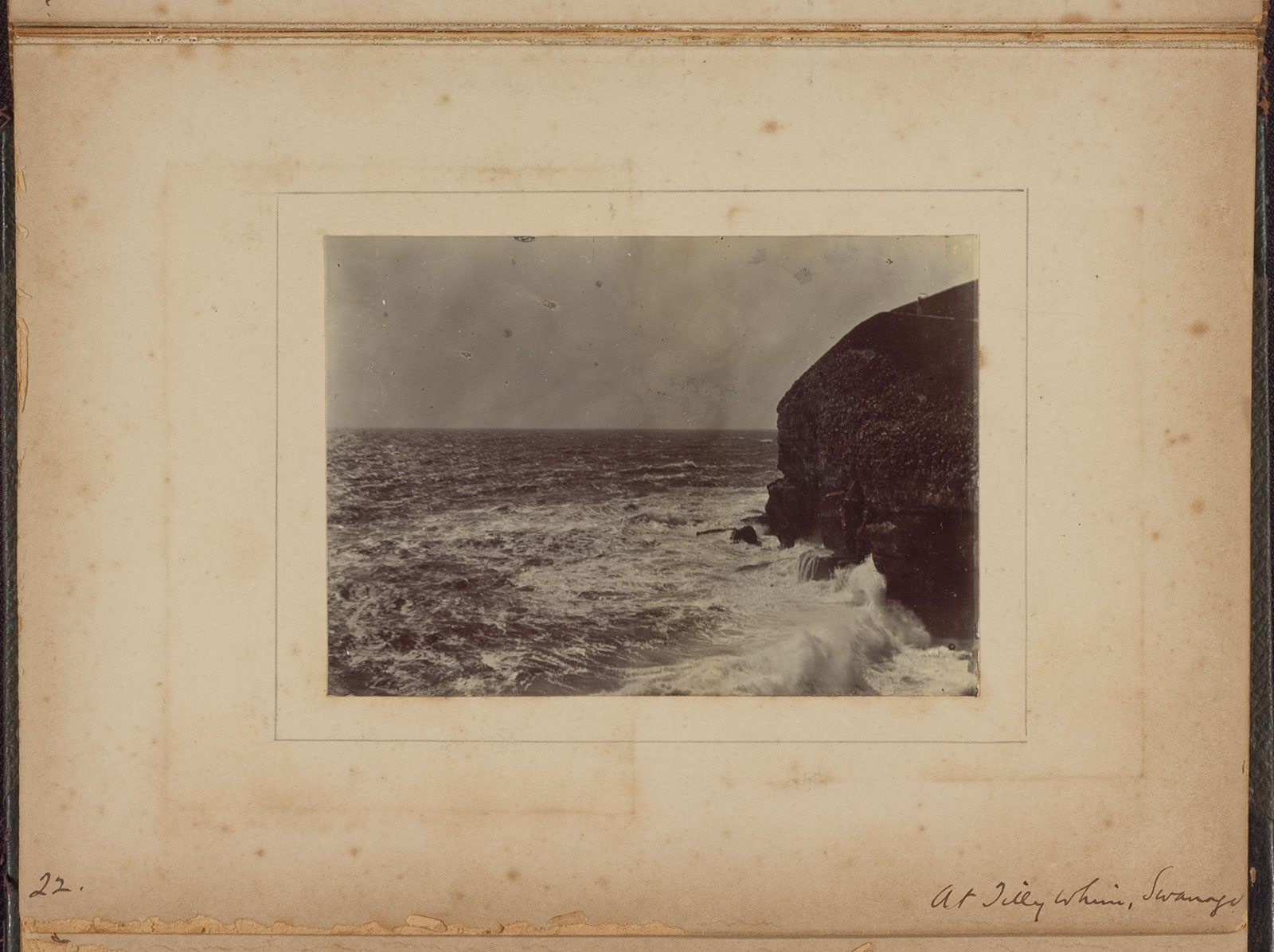 Albumen_22