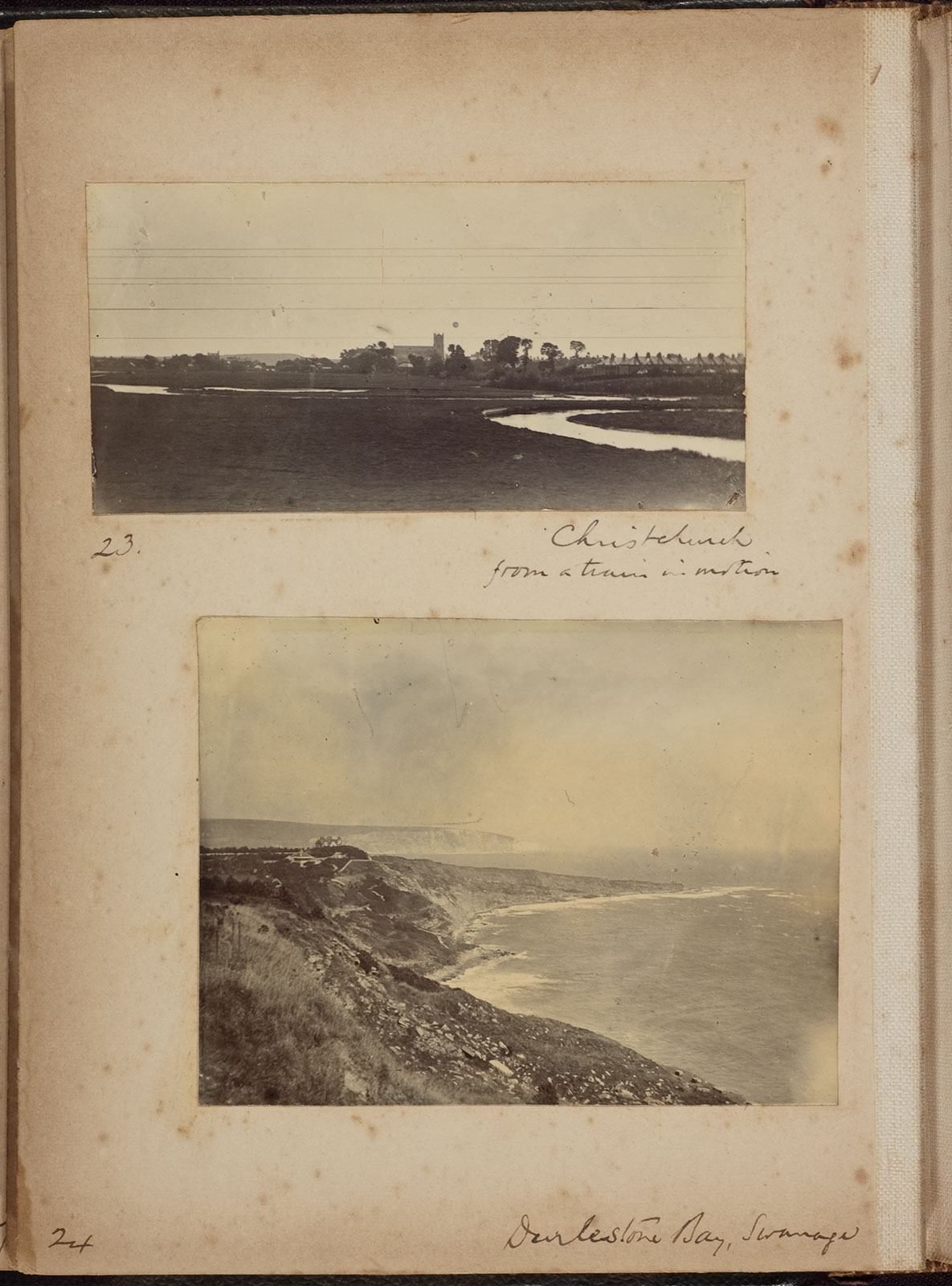Albumen_23_24