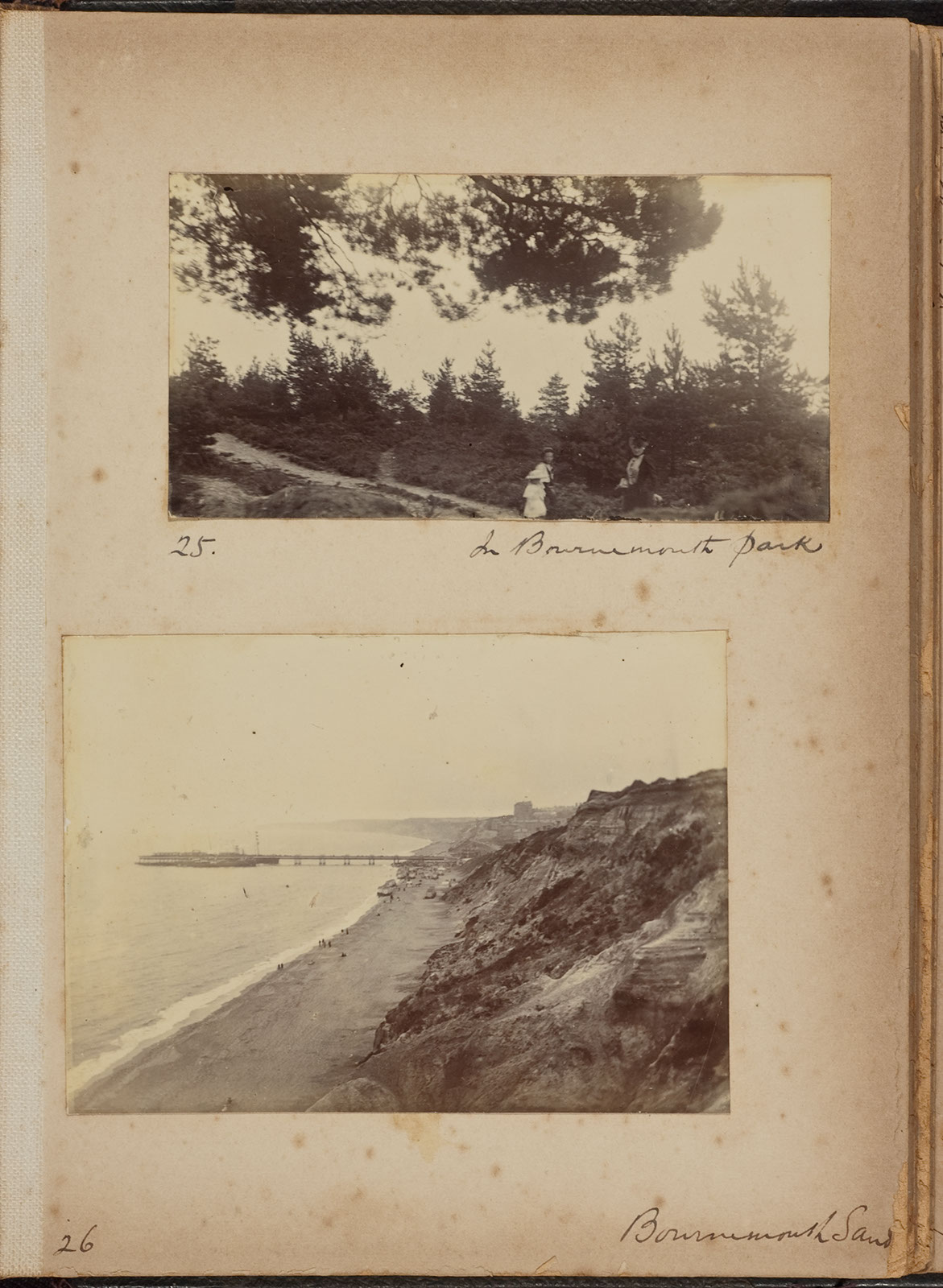 Albumen_25_26