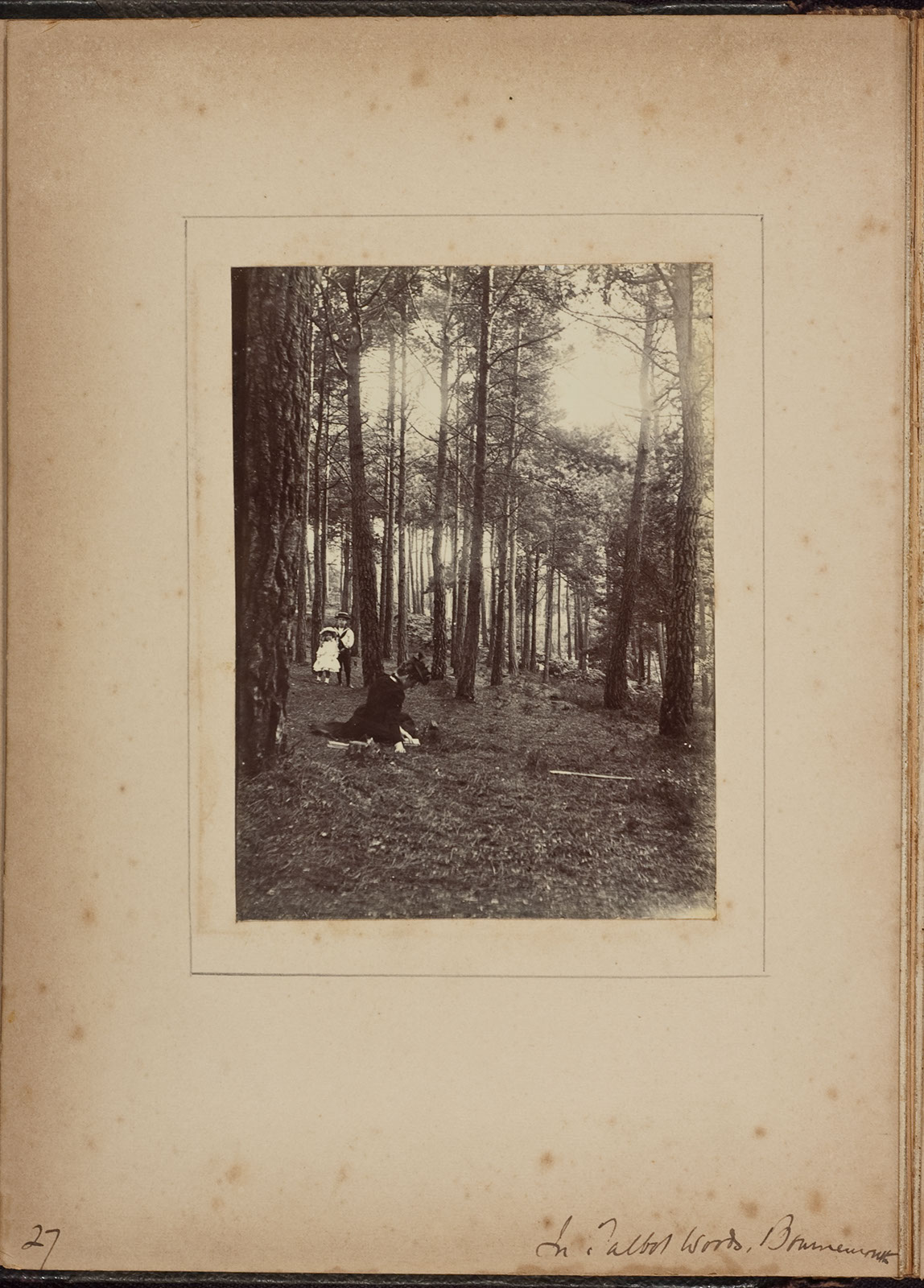 Albumen_27