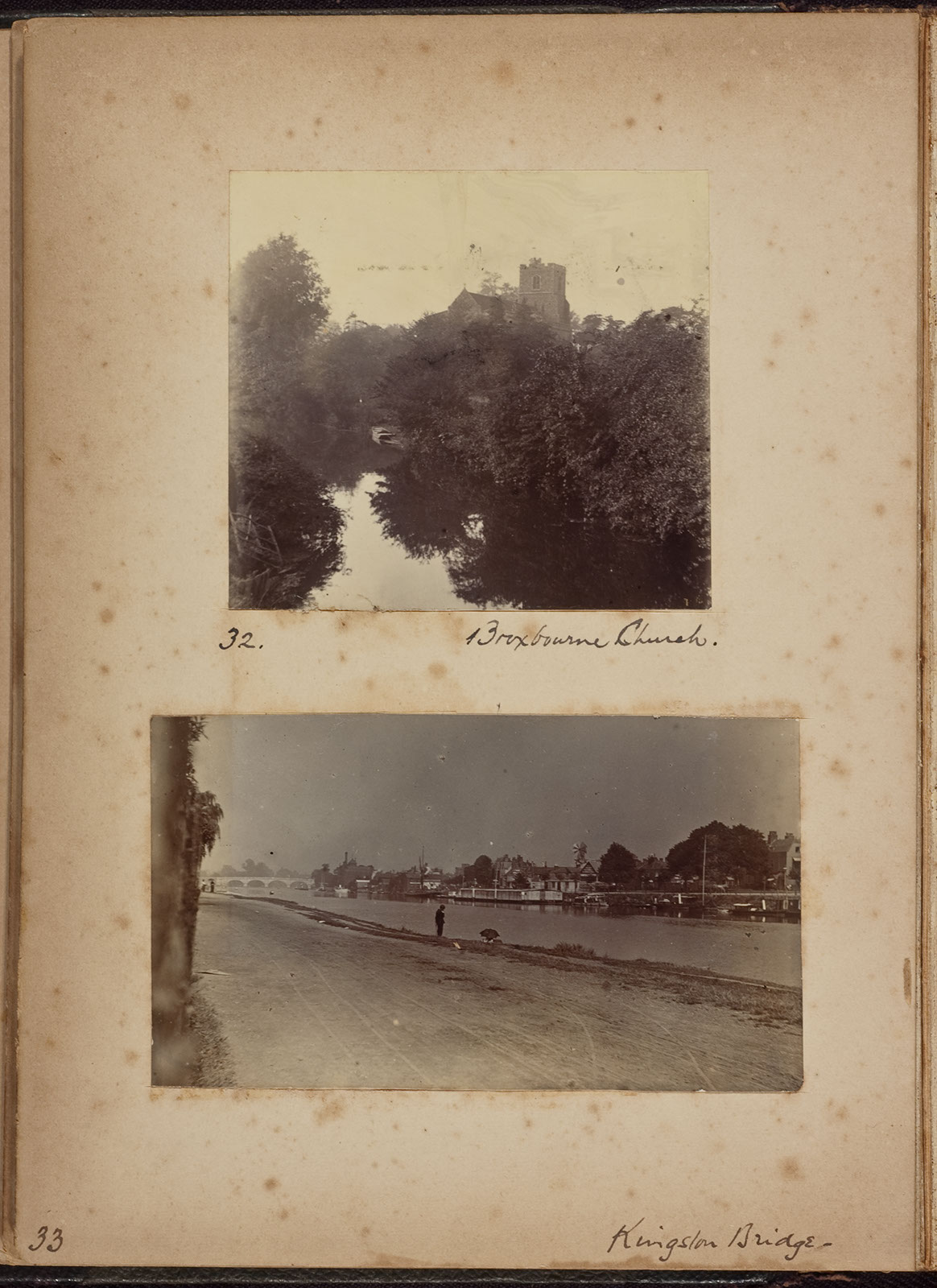 Albumen_32_33