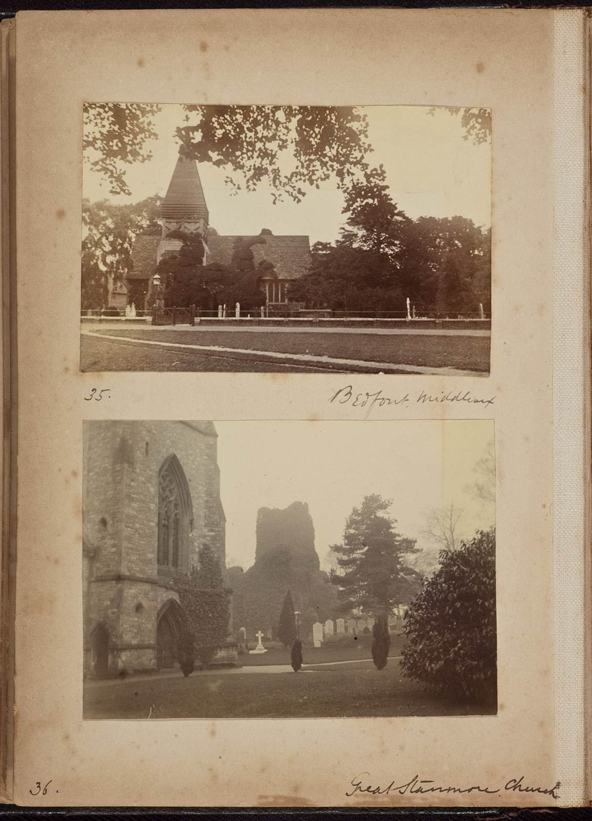 Albumen_35_36