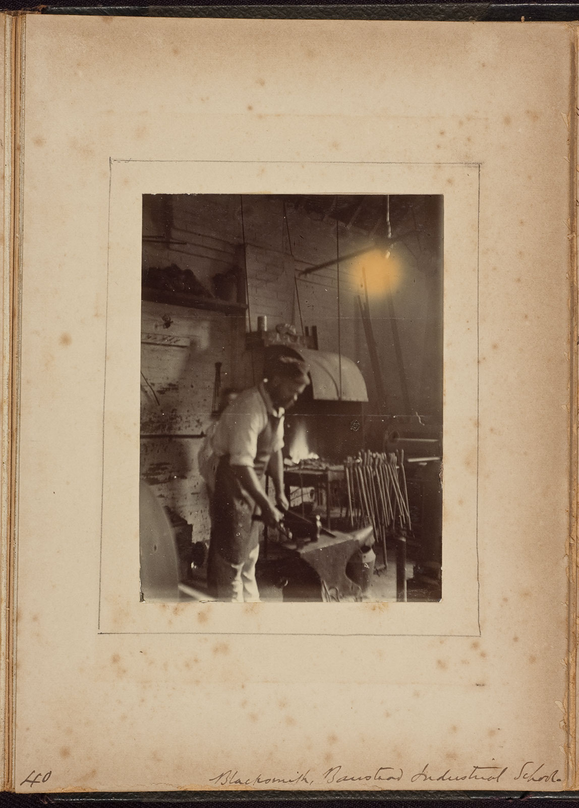 Albumen_40