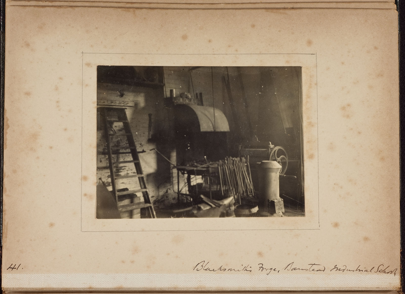 Albumen_41