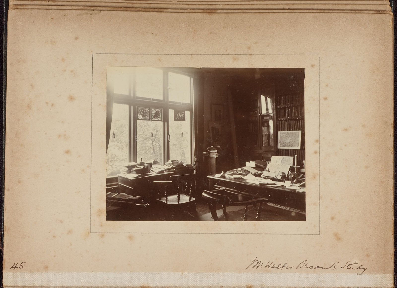 Albumen_45
