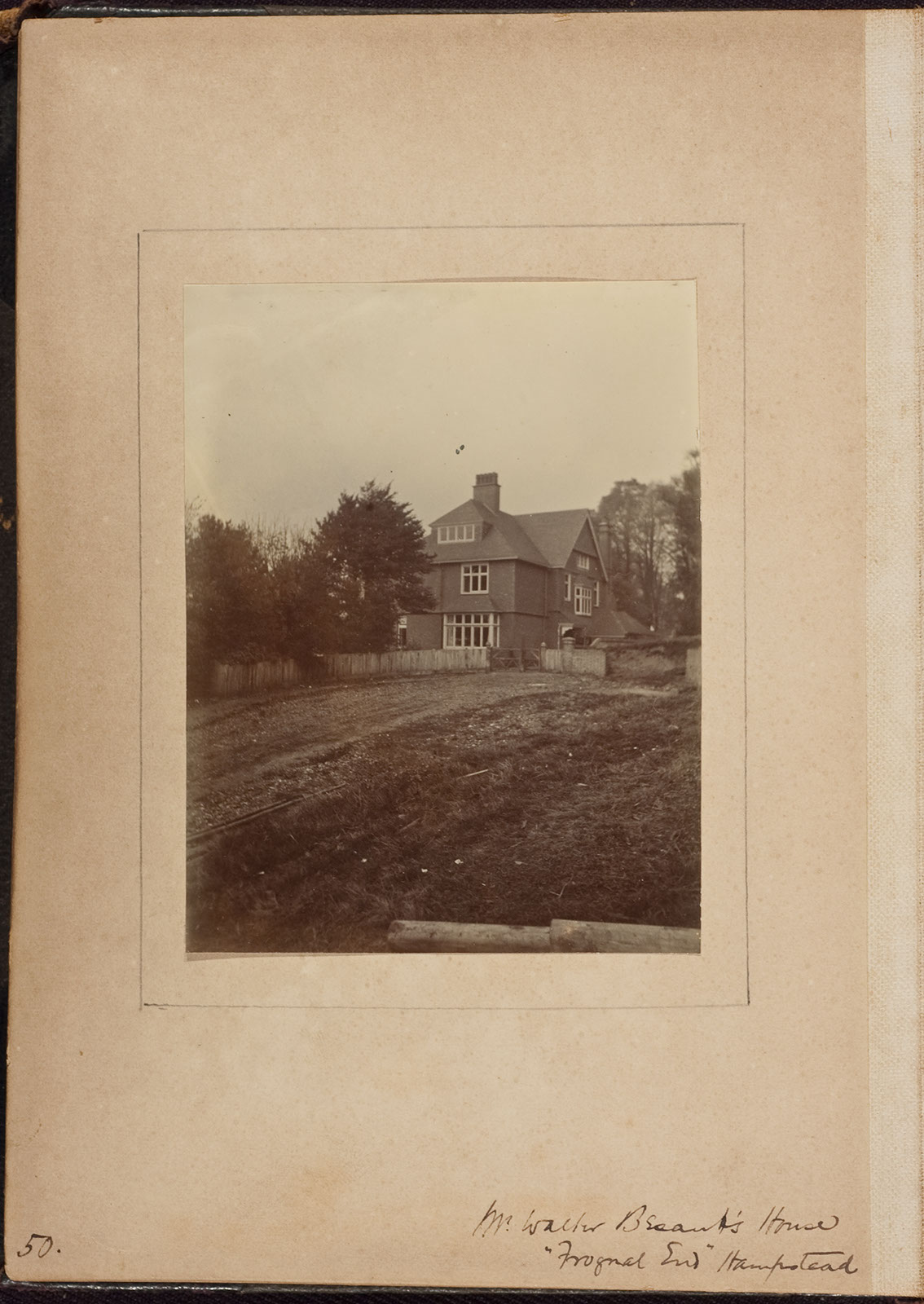 Albumen_50