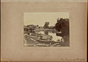 Albumen_01
