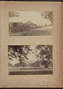Albumen_04_05