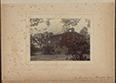 Albumen_08