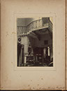 Albumen_09