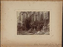 Albumen_10