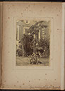 Albumen_11