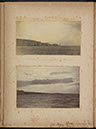 Albumen_13_14
