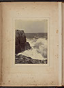 Albumen_17