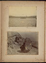 Albumen_20_21
