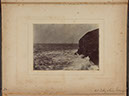 Albumen_22