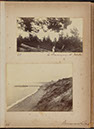 Albumen_25_26