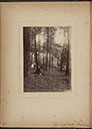 Albumen_27