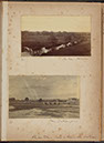 Albumen_30_31