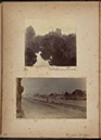Albumen_32_33