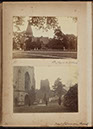 Albumen_35_36