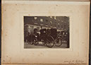 Albumen_37