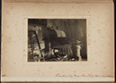Albumen_41