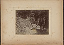 Albumen_44