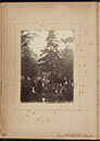 Albumen_47