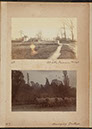 Albumen_48_49