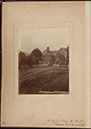 Albumen_50