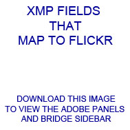 XMP mapped to Flickr