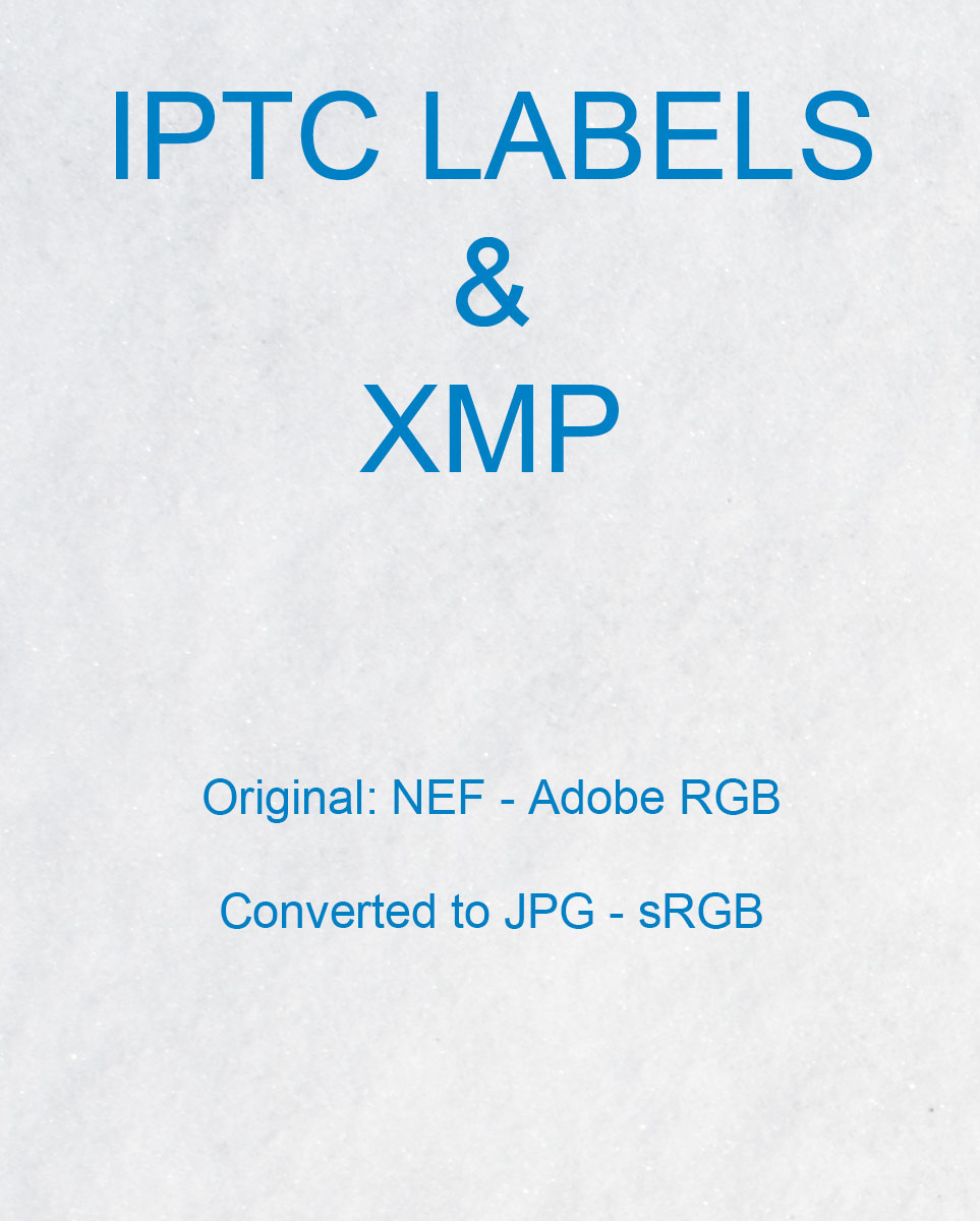 IPTC and XMP